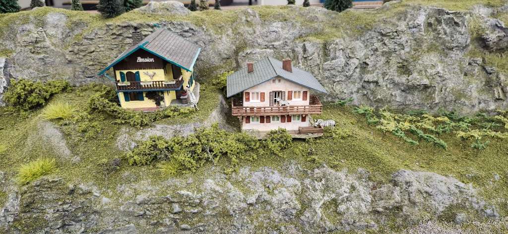 Zebras relaxing in rural Europe